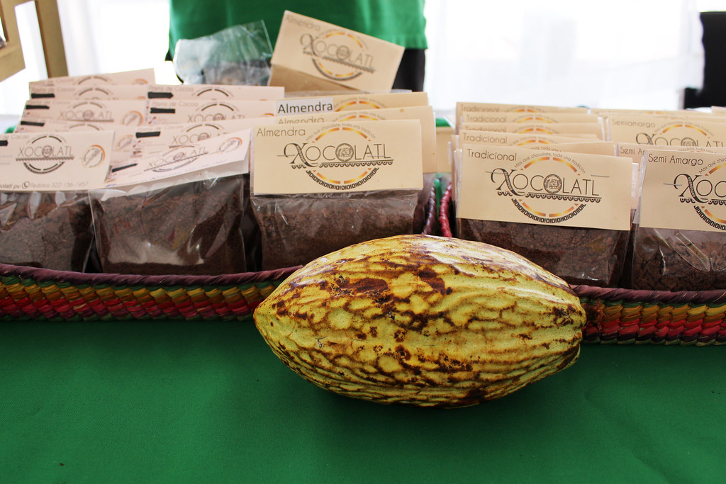 Cacao, Theobroma cacao