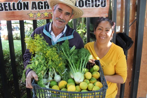 Rancho Los Alisos