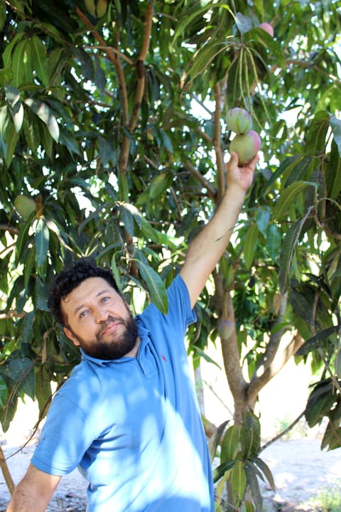 Rancho La Ceiba