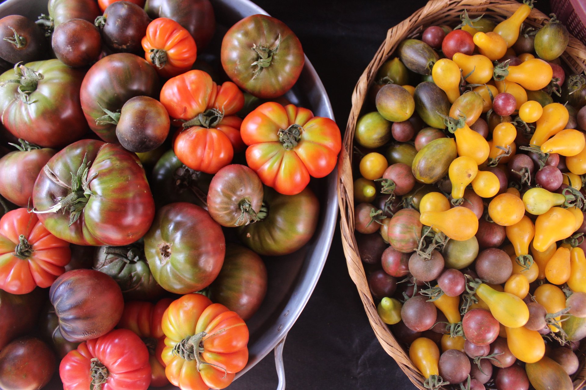 Jitomates de temporada de la Feria de Productores
