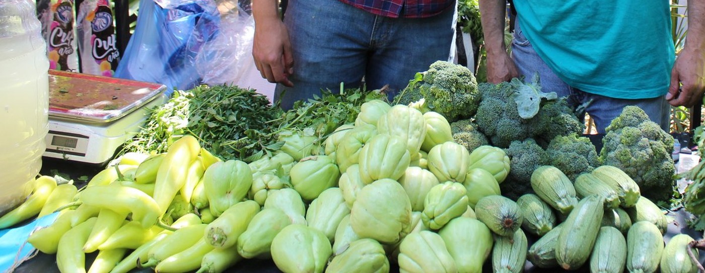 Chayotes, chiles, brócoli, calabacitas y hierbas frescas apiladas sobre la mesa del puesto de Ecoseda