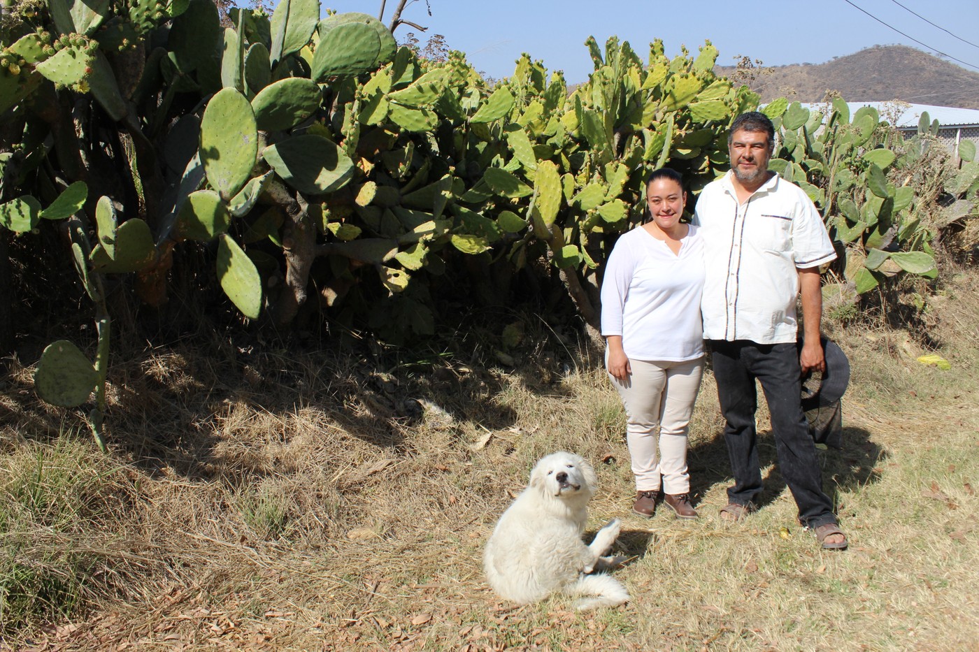 Los dos productores de Granja El Ruizseñor frente a un nopal grande, junto a su perro guardián de ganado