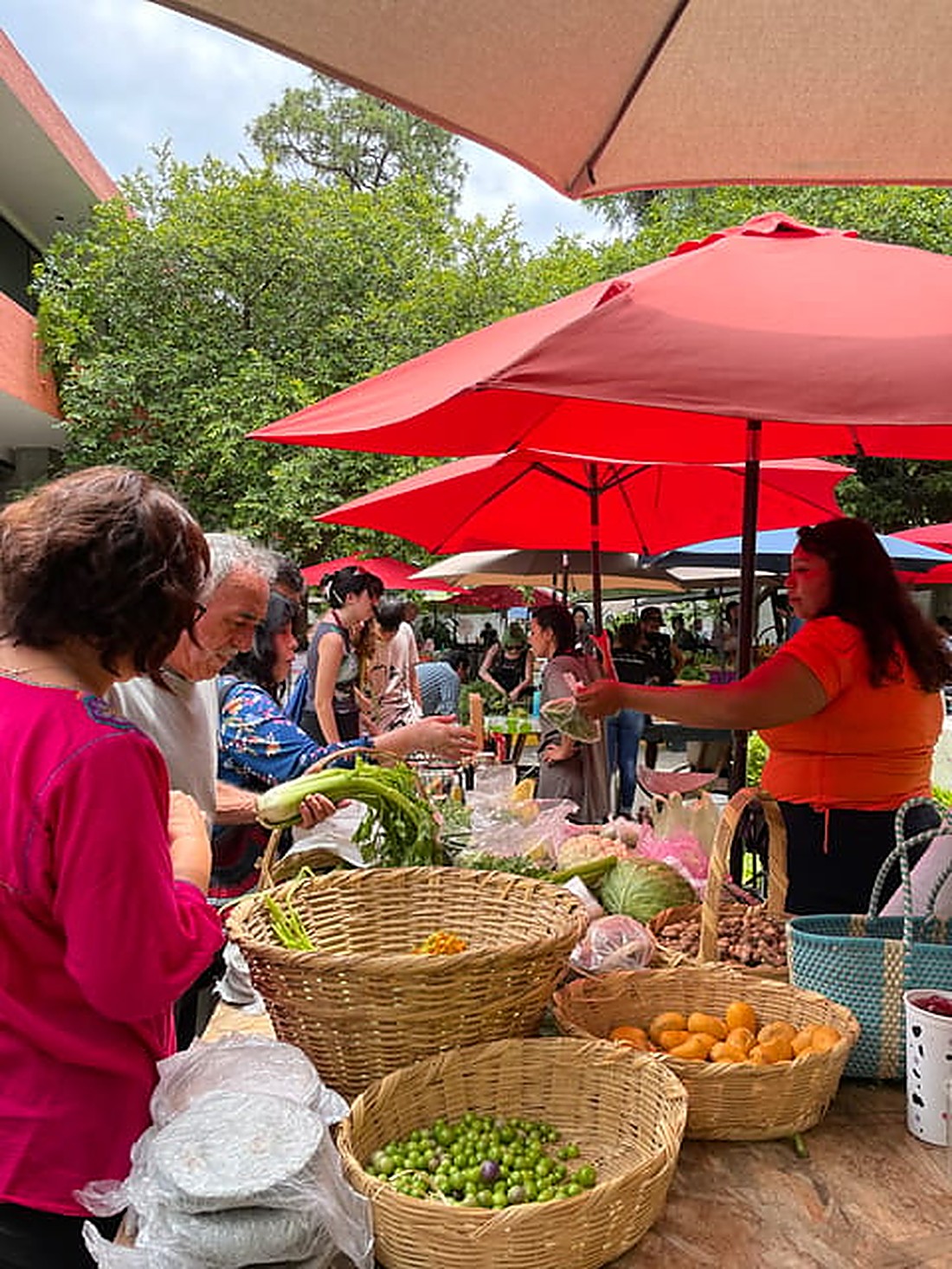 Clientes comprando en el puesto de Hortícola San Martín, bajo sombrillas rojas, con canastas de verdura, tejocote y ciruela