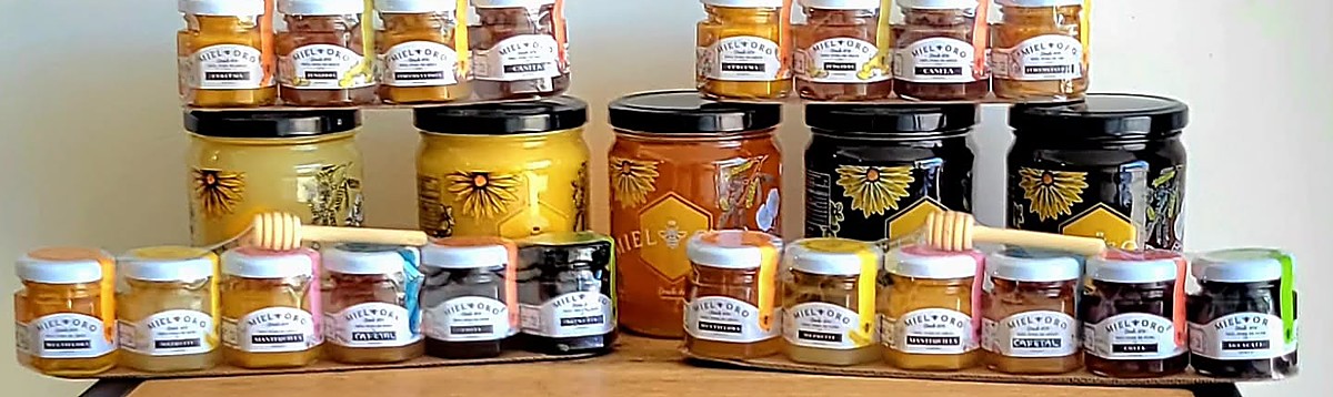 Exhibición completa de frascos de Miel Oro: mieles varietales grandes y frascos pequeños saborizados con cúrcuma, jengibre y canela
