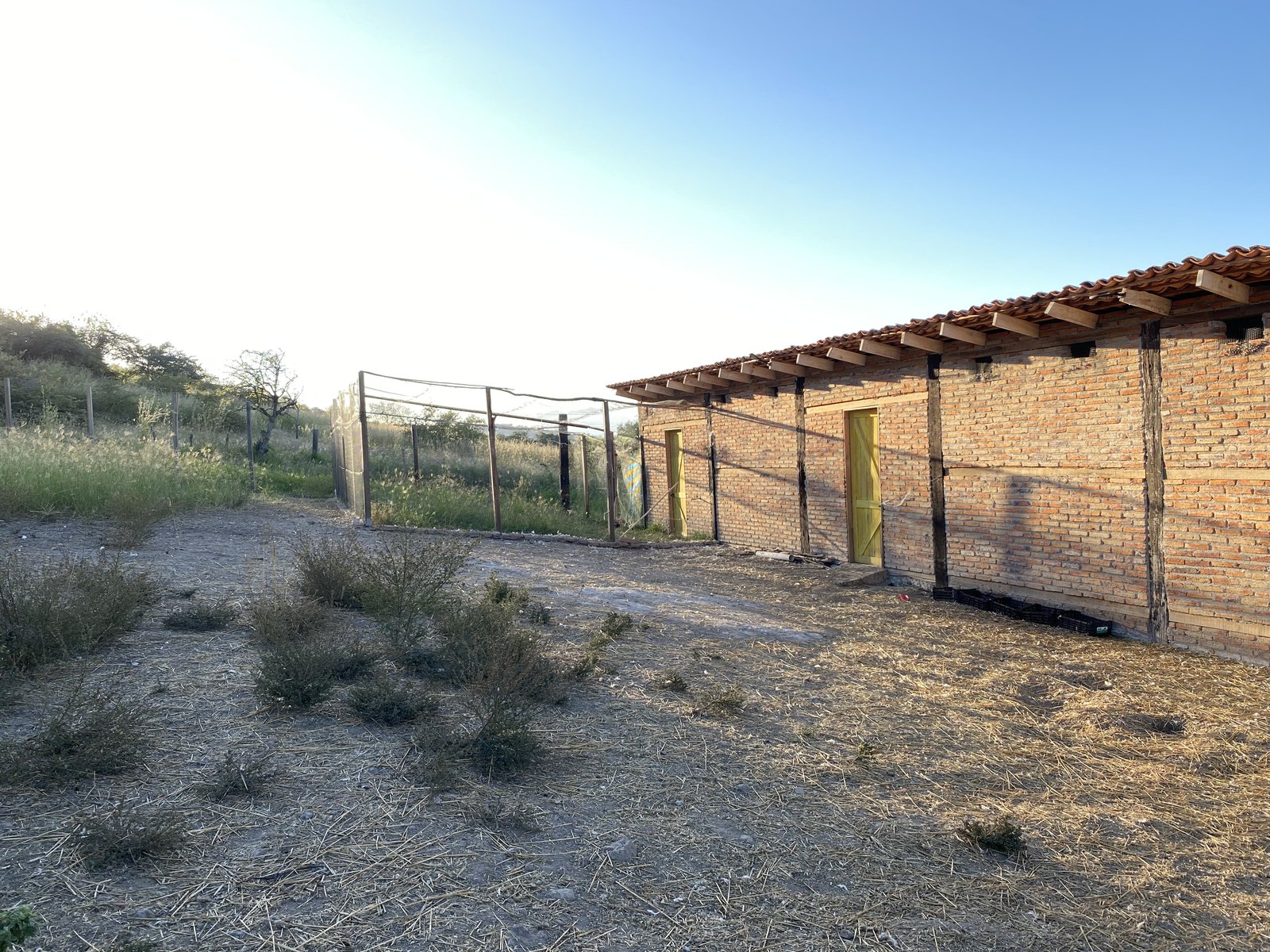 Gallinero de tabique y madera del rancho, con la malla del corral y el campo al fondo, luz de atardecer