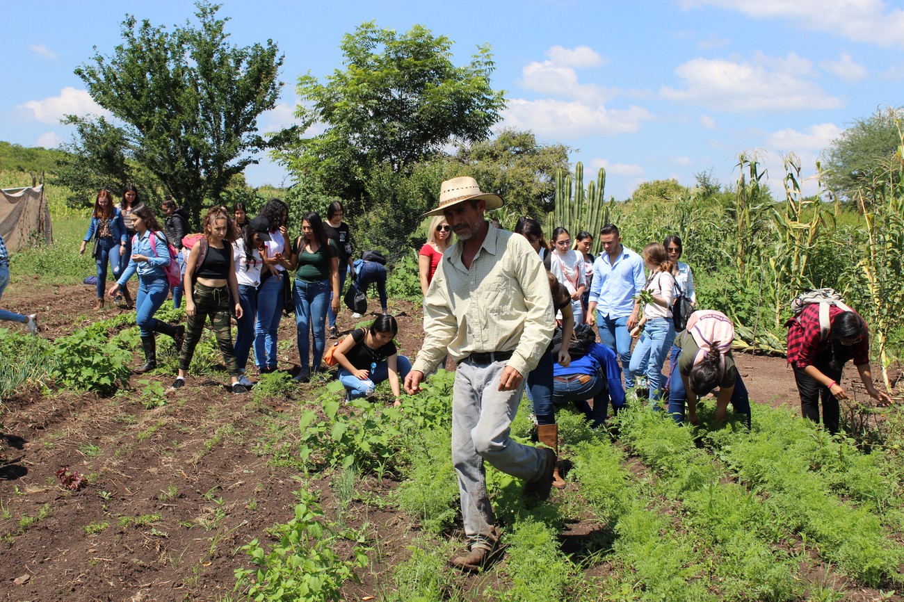 El productor de Rancho Los Alisos guiando a un grupo de estudiantes universitarios por las hileras de hortaliza y el maizal